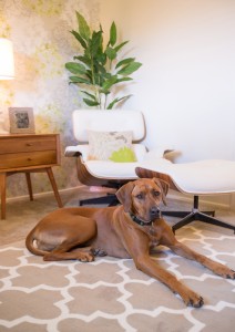 eames modern nursery