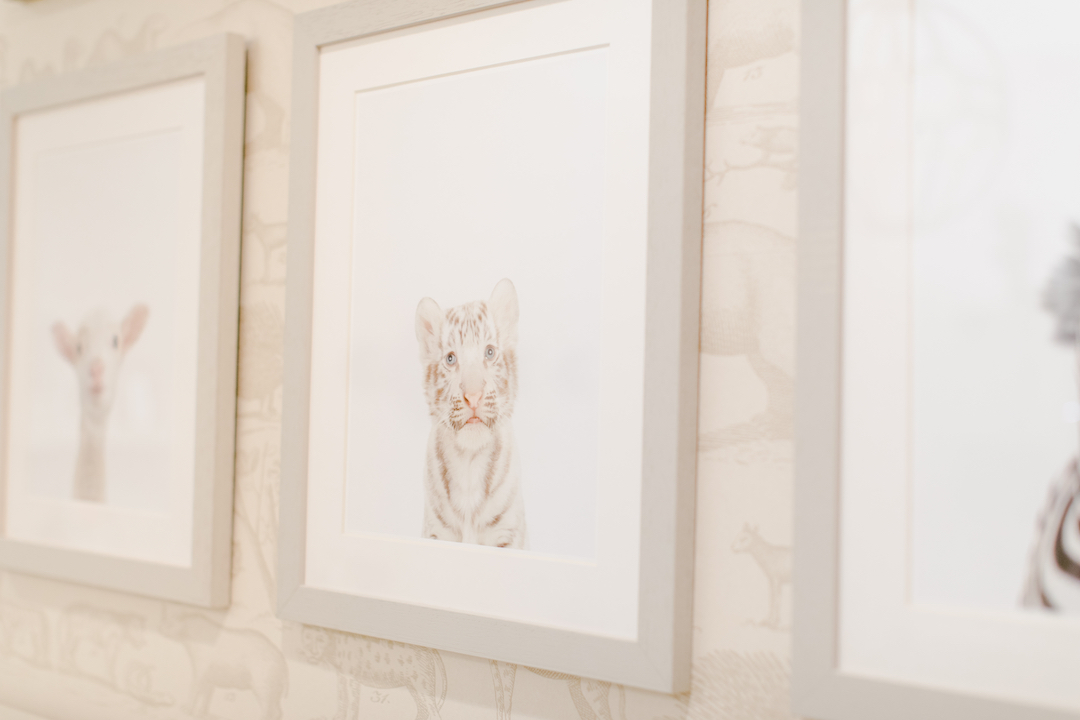 Nursery Interior Design in Los Angeles by Little Crown Interiors Baby Animal Photographs | Little Crown Interiors