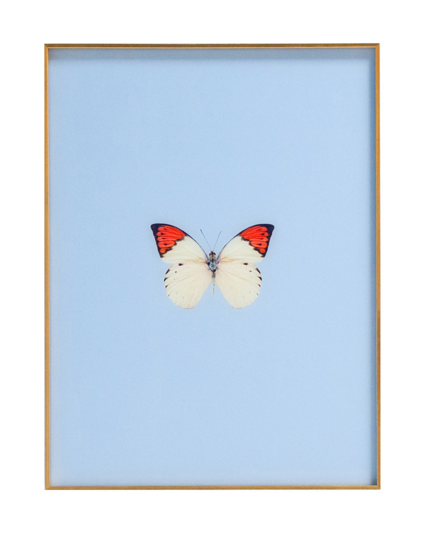 Nursery Butterfly Wall Art