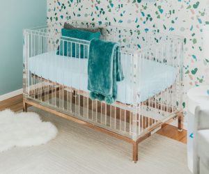 Nursery Works Luma Acrylic Crib