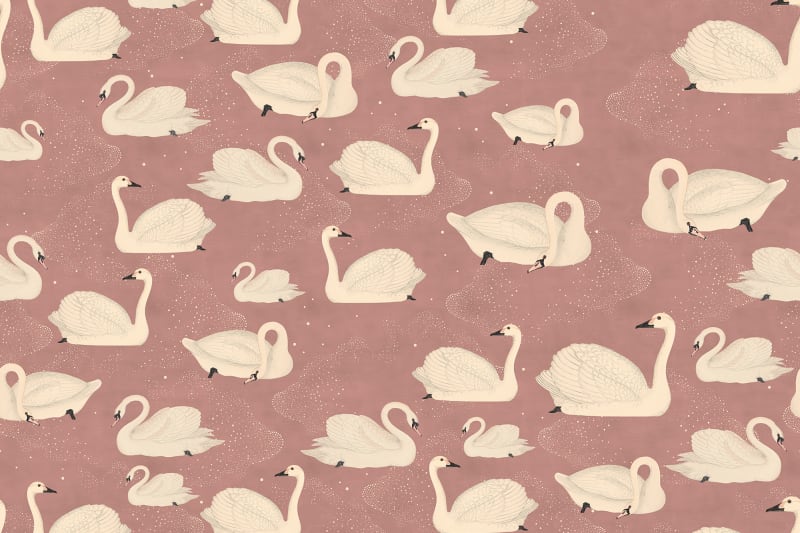 Mauve Pink Swan Wallpaper
