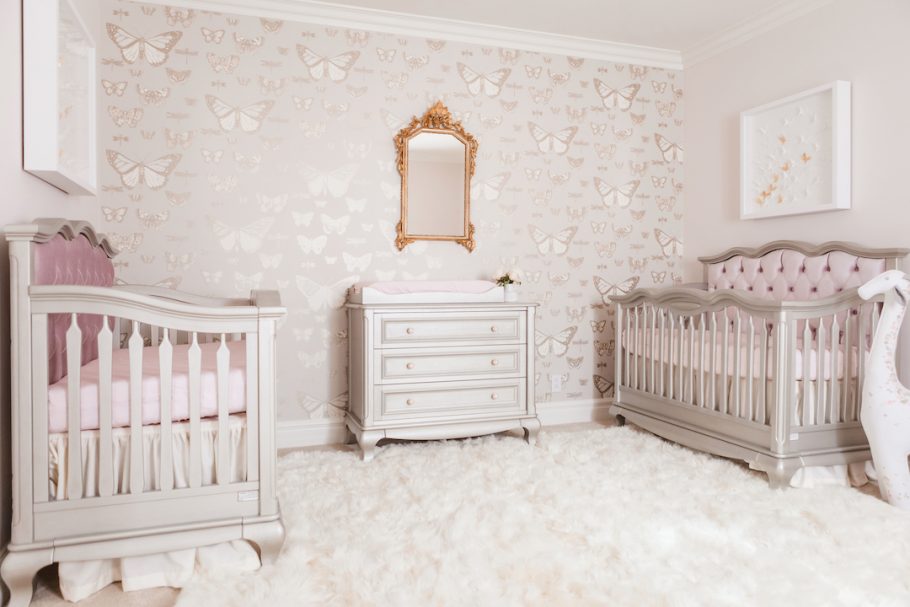 Elegant Butterfly Nursery for Twin Girls