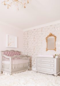 Traditional Butterly Theme Nursery Design