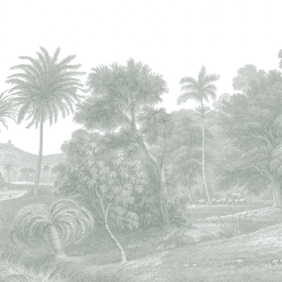 Green Jungle Wall Mural