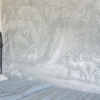 Green Jungle Wall Mural