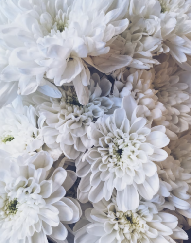 White Floral Art