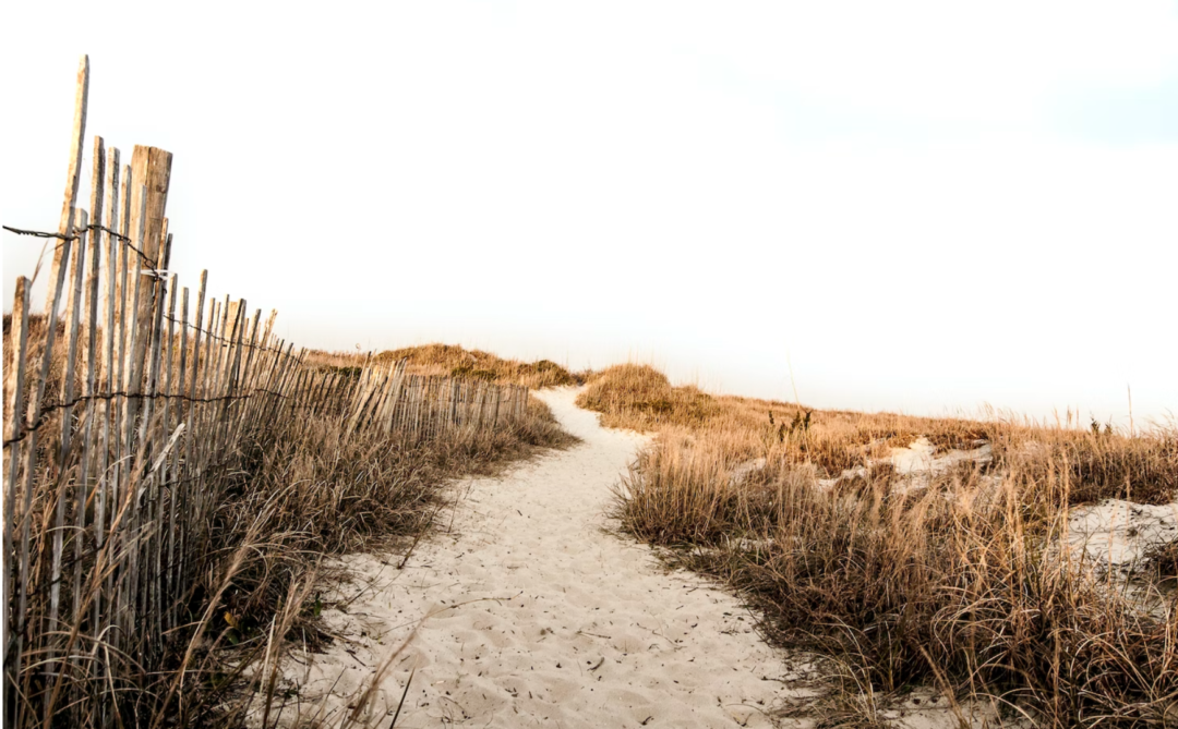 Beach Path Art