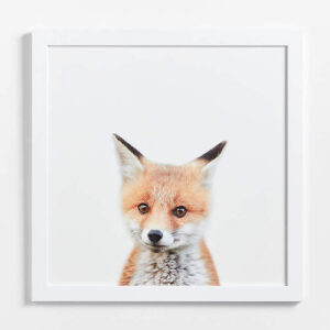 Baby Fox Wall Art Print