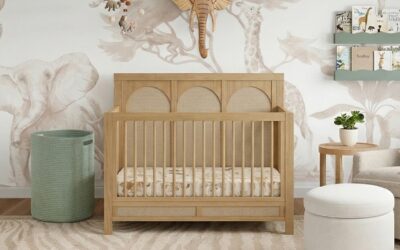 A Safari Theme Nursery With an Animal Wall Mural